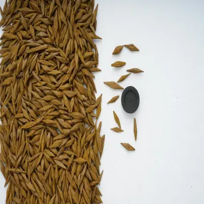 خشب عود Peluru